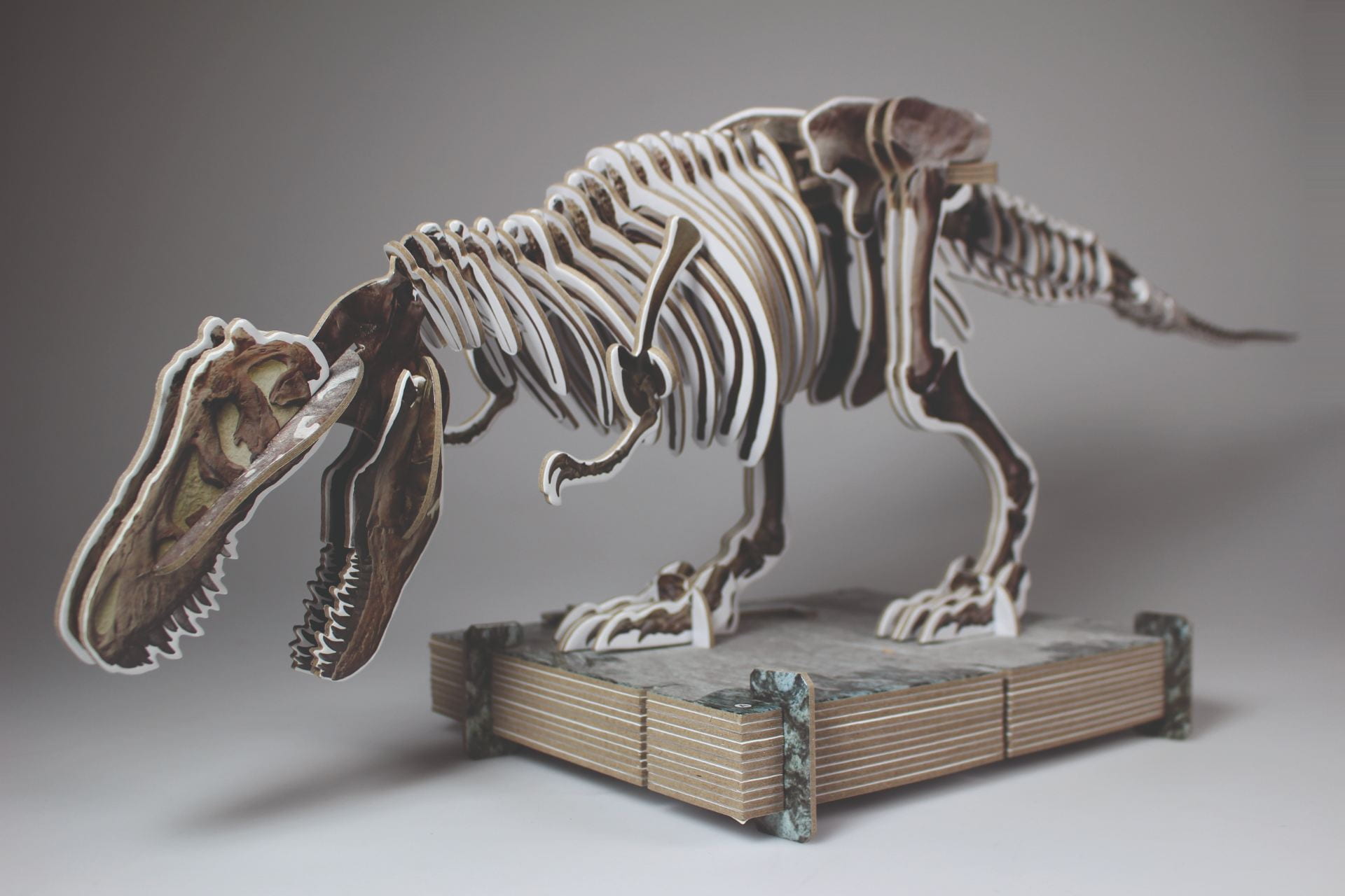 ‘Dorling Kindersley’, ‘Make Your Own T.Rex’ Picture Book, Model Kit Design by Jemma Westing