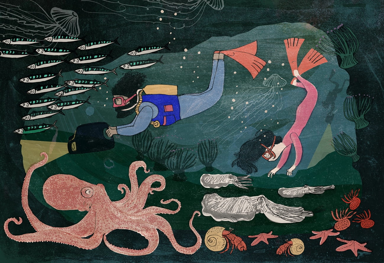 Romy and the Aquanauts, Picture Book, Speculative