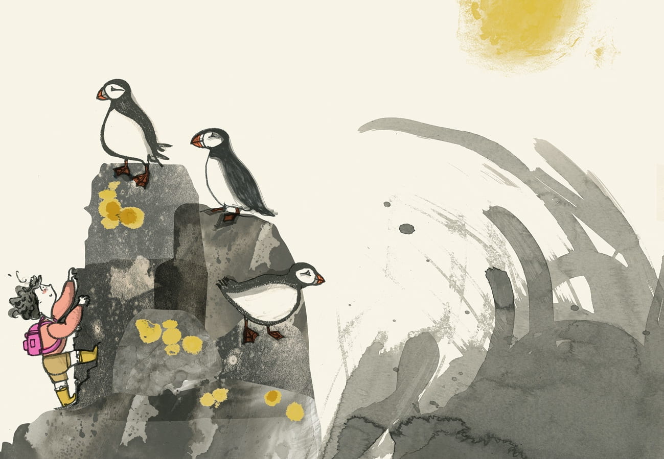 Romy and the Puffins, Picture Book, Speculative