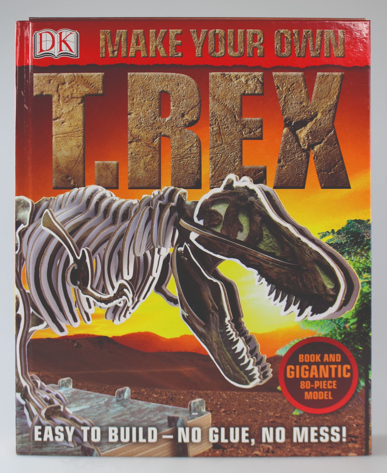 ‘Dorling Kindersley’, ‘Make Your Own T.Rex’ Project Art Editor & Paper Engineer Jemma Westing